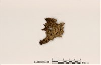 藏品(雪島衣)的圖片